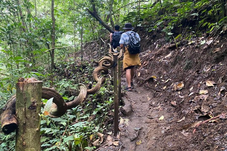 Jalur pendakian menuju Air Terjun Proklamator di Tanah Datar, Sumatera Barat. 