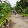 Warga Lumajang Tanam Pohon Pisang di Jalan Berlubang, Bupati Janjikan Perbaikan hingga Masyarakat Diminta Sabar