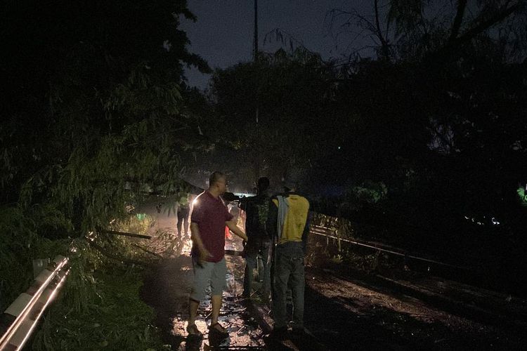 Proses evakuasi pohon tumbang di persimpangan Kelapa Dua menuju Margonda, Kota Depok, Rabu (17/4/2024).