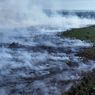 BNPB: Karhutla hingga Banjir Landa Sejumlah Wilayah Indonesia
