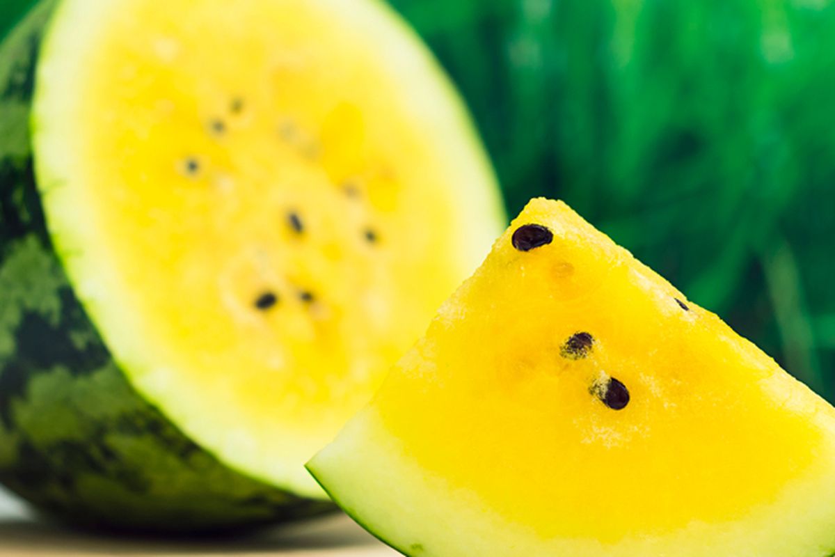 Buah semangka kuning