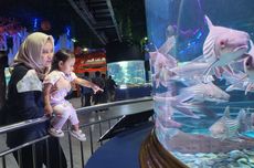 Prabowo Singgung Jasa Jokowi Saat Resmikan Pabrik Lotte Chemical: Sepantasnya Beliau di Sini