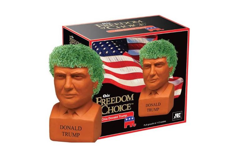Chia Pet