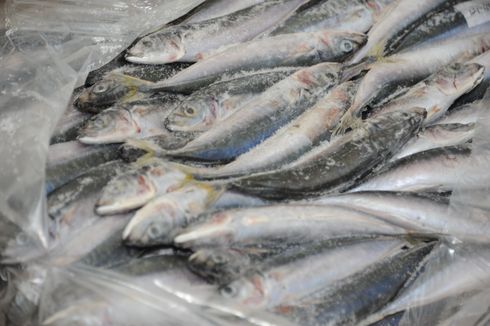 Terdeteksi Mengandung Covid-19, Bea Cukai China Tangguhkan Ikan Beku Impor Asal Indonesia 