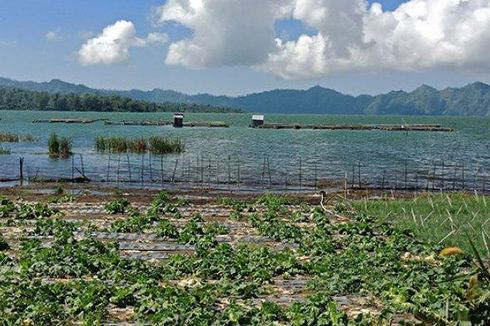 Tercemar, Air Danau Batur Bali Tidak Layak Dikonsumsi Langsung