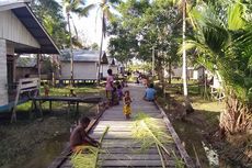 Mengenal Daerah yang Menjadi Calon Provinsi Baru Papua Selatan
