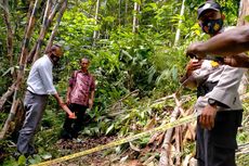 Selagi Mencari Kayu Bakar di Kebun, Satu Lansia Malah Tewas Tersetrum dan Lainnya Luka-luka