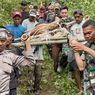 Harimau yang Masuk Jebakan di Lampung Dievakuasi, Ditandu Turun Gunung Lewati Jalan Terjal