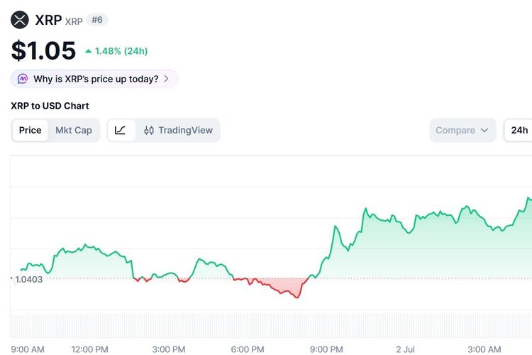 Harga XRP Hari Ini 2 Juli 2026, Membaik Usai Jeblok 