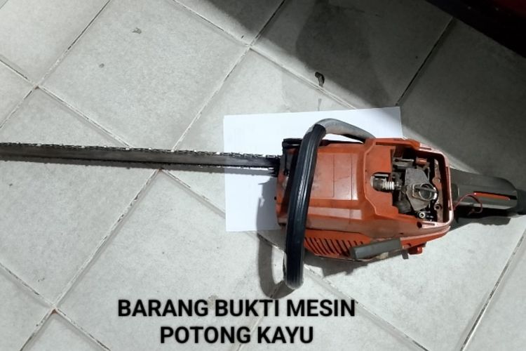 Tebang Kayu untuk Buka Kebun Sawit di Areal Perusahaan, 2 Warga Bengkalis Ditangkap