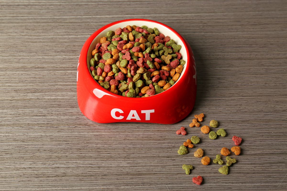 Ilustrasi makanan kucing. 