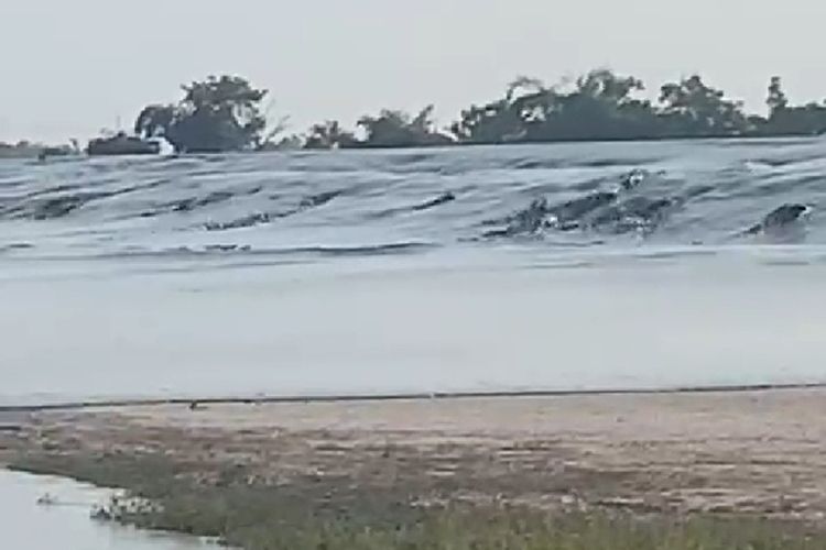 Obyek wisata Baby Volcano' atau biasa disebut Bledug Cangkring di Desa Grabagan, Kecamatan Kradenan, Kabupaten Grobogan, Jawa Tengah mengeluarkan semburan lumpur deras bersamaan dengan gempa susulan berkekuatan magnitudo 6,5 yang mengguncang Kabupaten Tuban, Jawa Timur, Jumat (22/3/2024) sore pukul 15.54.