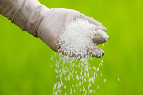 Simak, Manfaat Pupuk Urea untuk Tanaman