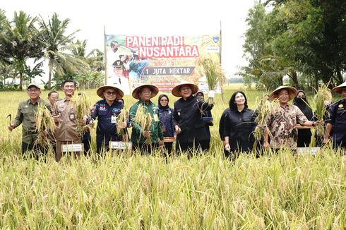 Jelang Ramadhan, Kementan Dorong Produksi Pangan dan Harga Gabah di Sumsel Tidak Turun