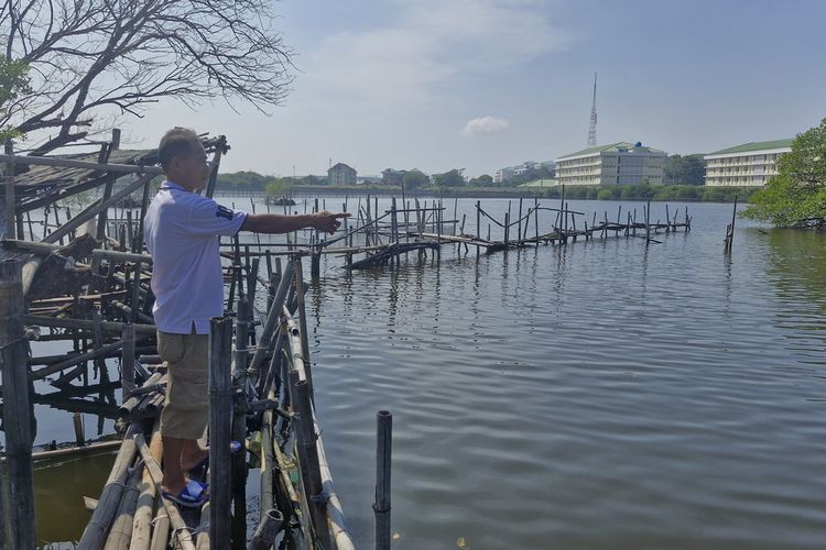 10 Ton Ikan, Udang, dan Kepiting Mati di Semarang, Diduga akibat Limbah Industri