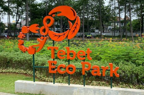 Gratis dan Fasilitas Lengkap, Alasan Pengunjung Rekreasi di Tebet Eco Park