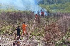 Terbakar, 20 Hektar Lahan di Natuna, Kepri