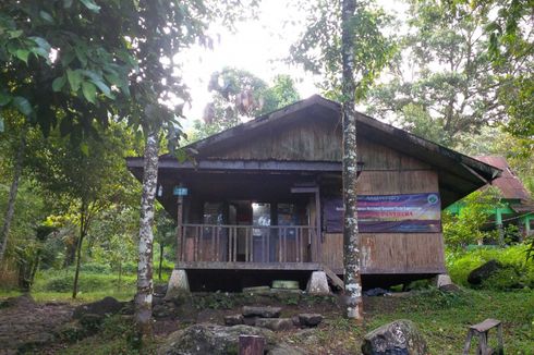 Walhi Soroti Amdal Pembangunan Tempat Wisata Gunung Pangrango di Sukabumi