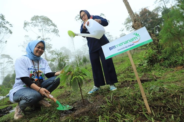 Program BRI Menanam yang digagas oleh BRI untuk mengejar target NZE 2050.