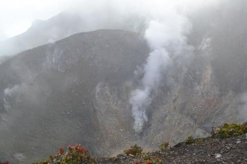 Pendakian Gunung Gede Pangrango Kembali Buka, Harus Daftar Online