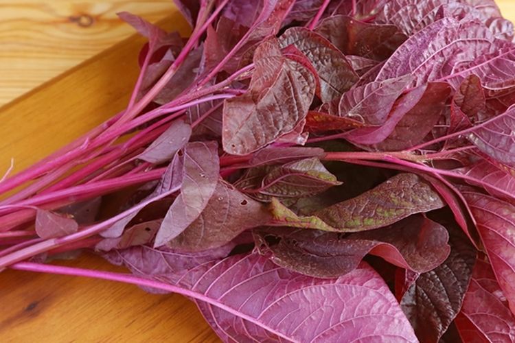 Ilustrasi bayam merah.