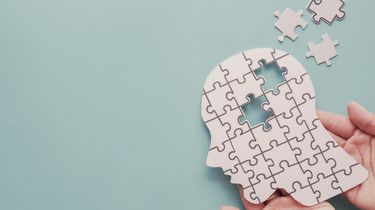 Dosen IPB Sebut 4 Gaya Hidup Sehat Bisa Cegah Alzheimer