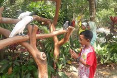 Belajar Konservasi di Taman Satwa Lembah Hijau Bandar Lampung Saat Libur Sekolah