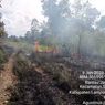 Puluhan Hektar Hutan Way Kambas Terbakar, Diduga akibat Perburuan Satwa