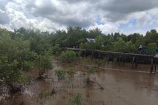 3 Program Pertamina Sei Pakning, dari Pengelolaan Gambut hingga Penanaman Mangrove 