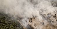 Ini Ancaman Tersembunyi Usai Api Karhutla Mulai Padam