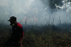 10 Hektare Lahan di Bintan Terbakar