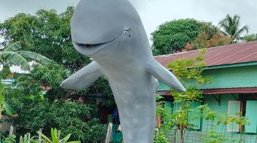 Modal Rp 350.000, Sentuhan Seni Kuli Bangunan Sulap Barang Bekas Jadi Patung Pesut Mahakam
