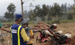 Program Alsintan Kementan Bantu Petani Banyuwangi Tingkatkan Produksi Pertanian