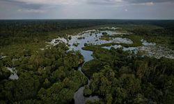 IUCN dan APRIL Perkuat Ilmu Konservasi lewat Kolaborasi Global