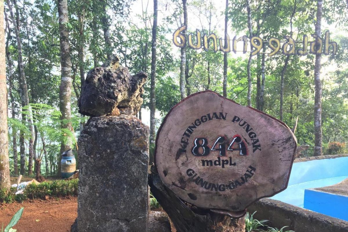 Gunung Gajah di Desa Wisata Pandanrejo, Kabupaten Purworejo, Jawa Tengah.