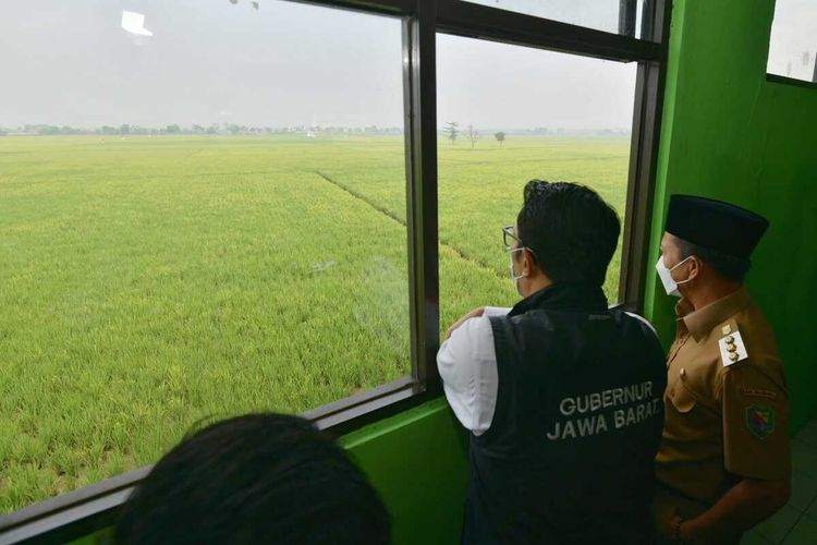 Gubernur Jabar Ridwan Kamil saat meninjau lahan di SMA Negeri 1 Bojongsoang, Kabupaten Bandung, Jawa Barat, Senin (18/4/2022).