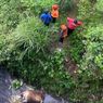 Petugas Buru Pembuang Bangkai Sapi di Sungai Semarang