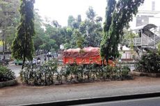 Tak Terawatnya Tanaman di Jakarta Utara