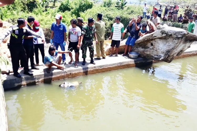 Sesosok mayat pria yang sedang mengambang di pinggir bendungan dalam kondisi tengkurap  dan membawa sebilah parang serta mengenakan sarung ditemukan warga, aparat kepolisian Polsek Wara Selatan bersama warga melakukan evakuasi, Selasa (29/10/2019)