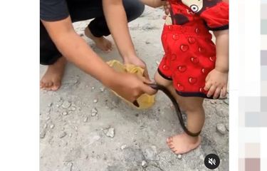 Ramai soal Video Kaki Balita Dipukuli dengan Belut agar Cepat ...