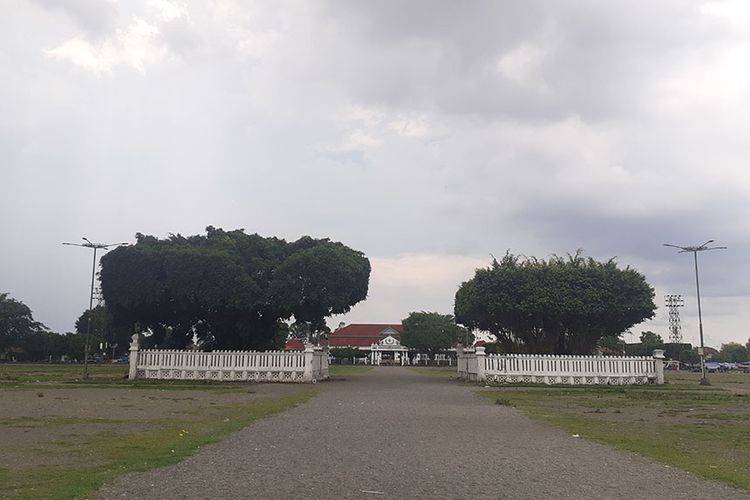 Kiai Dewadaru dan Kiai Janadaru adalah pohon beringin pusaka Keraton Yogyakarta yang berada di tepat di tengah Alun-Alun Utara.
