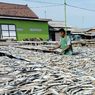 Disebut Imbas Cuaca, Harga Bahan Baku Ikan Asin di Tegal Melonjak 