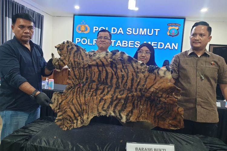 Kapolrestabes Medan, Kombes Pol John Teddy Sahala saat menyampaikan keterangan pers tentang penjualan kulit harimau Sumatera, Selasa (20/2/2024) 