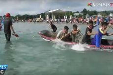 Serunya Bermain Tarik Tambang di Atas Sampan di Danau Toba