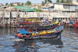 Teluk Jakarta Tercemar 5 Logam Berat, Awas Kerang dan Kepiting