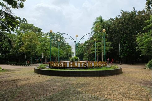 Percantik Hutan Kota Bekasi, DBMSDA Akan Tambahkan Area Bermain