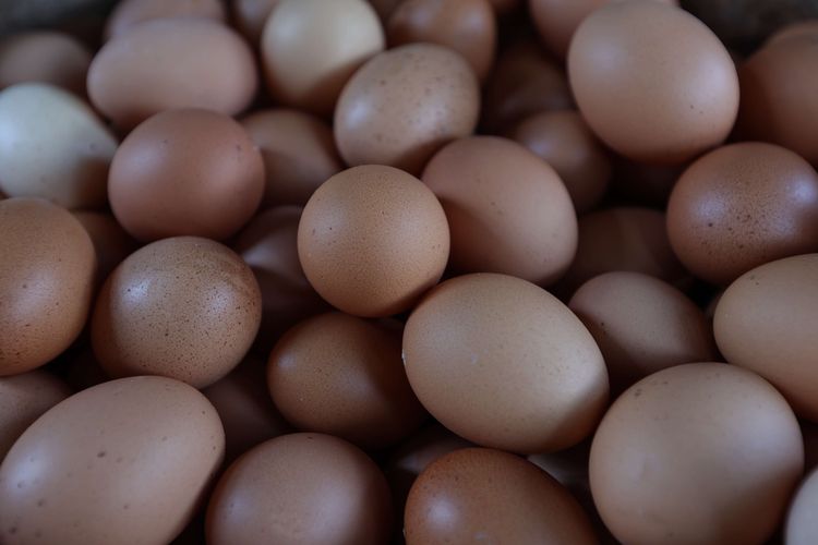 Harga telur ayam mencetak rekor tertinggi sepanjang sejarah di kisaran Rp 30.000 per kg.