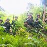 Ladang Ganja Seluas 5 Hektar Kembali Ditemukan di Keerom Papua