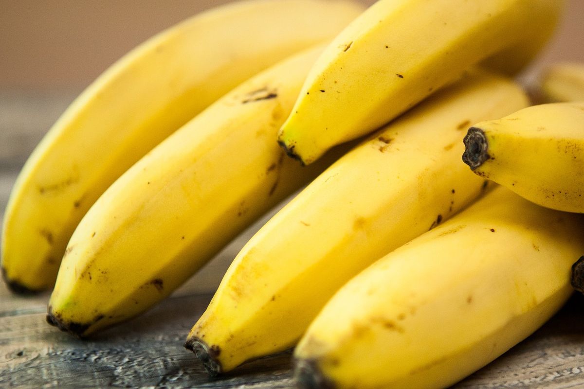 Ilustrasi buah pisang cavendish.