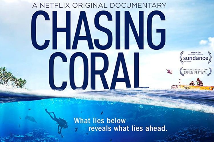 chasing coral netflix